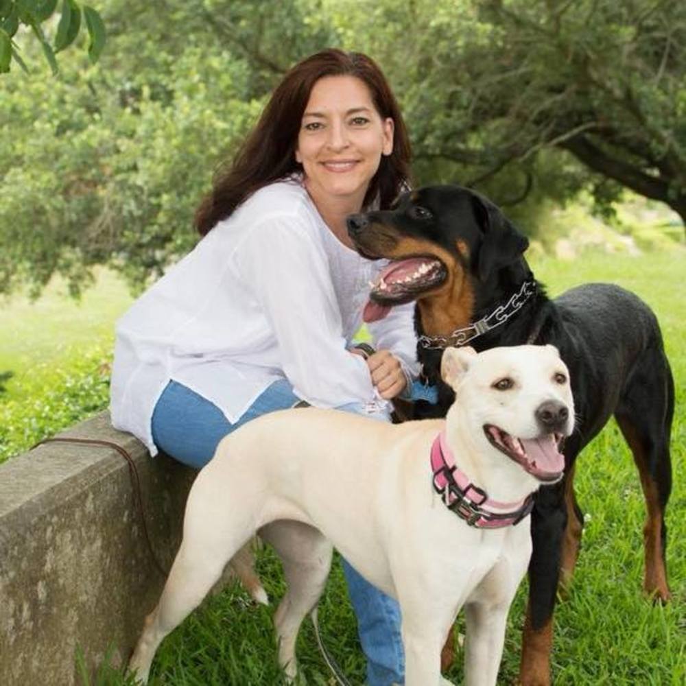 Meet your Posher, Orrie